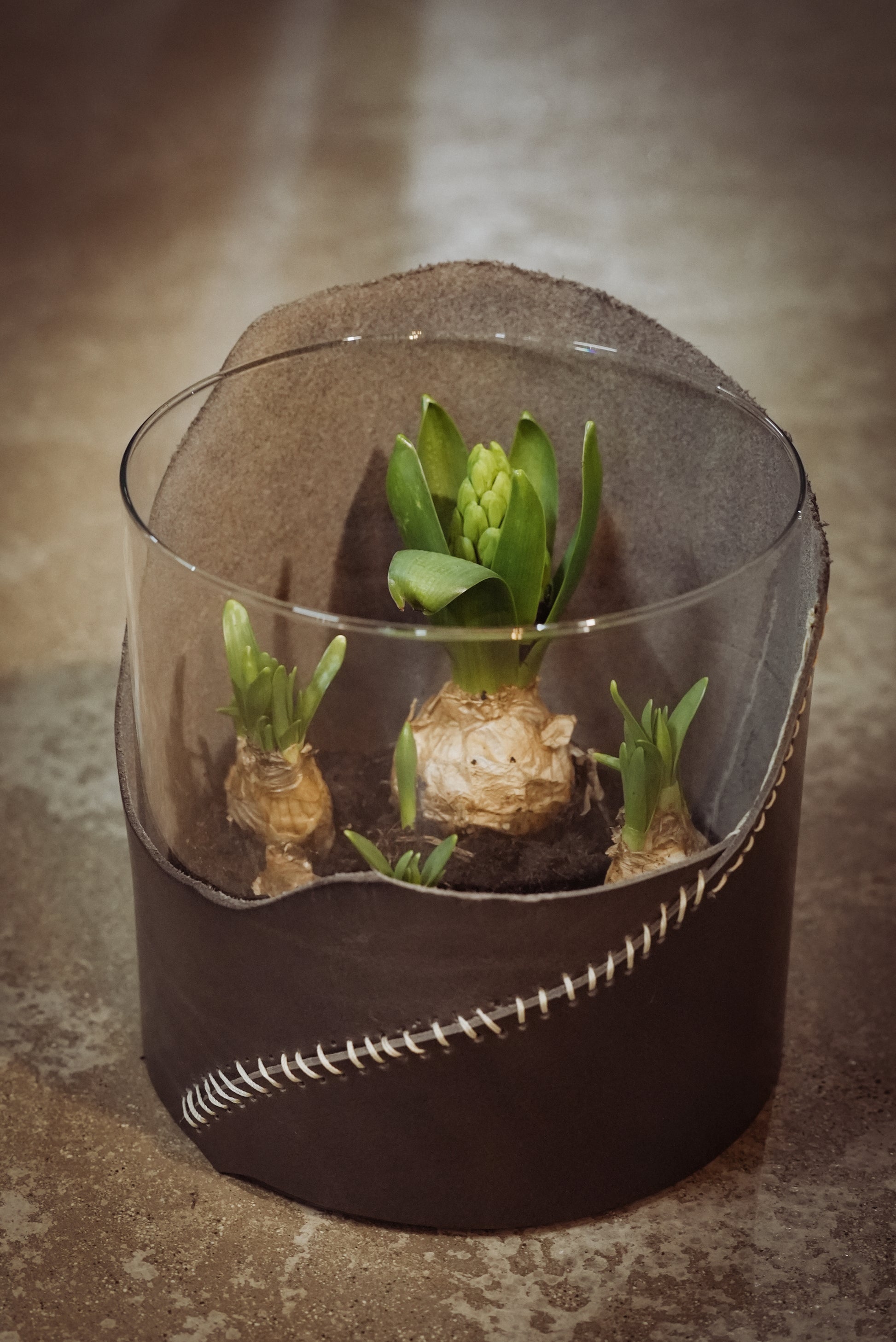 GLAS TRIFFT LEDER – Dein Design-Workshop │ 21. MÄRZ 2026 - leder-accessoires.com