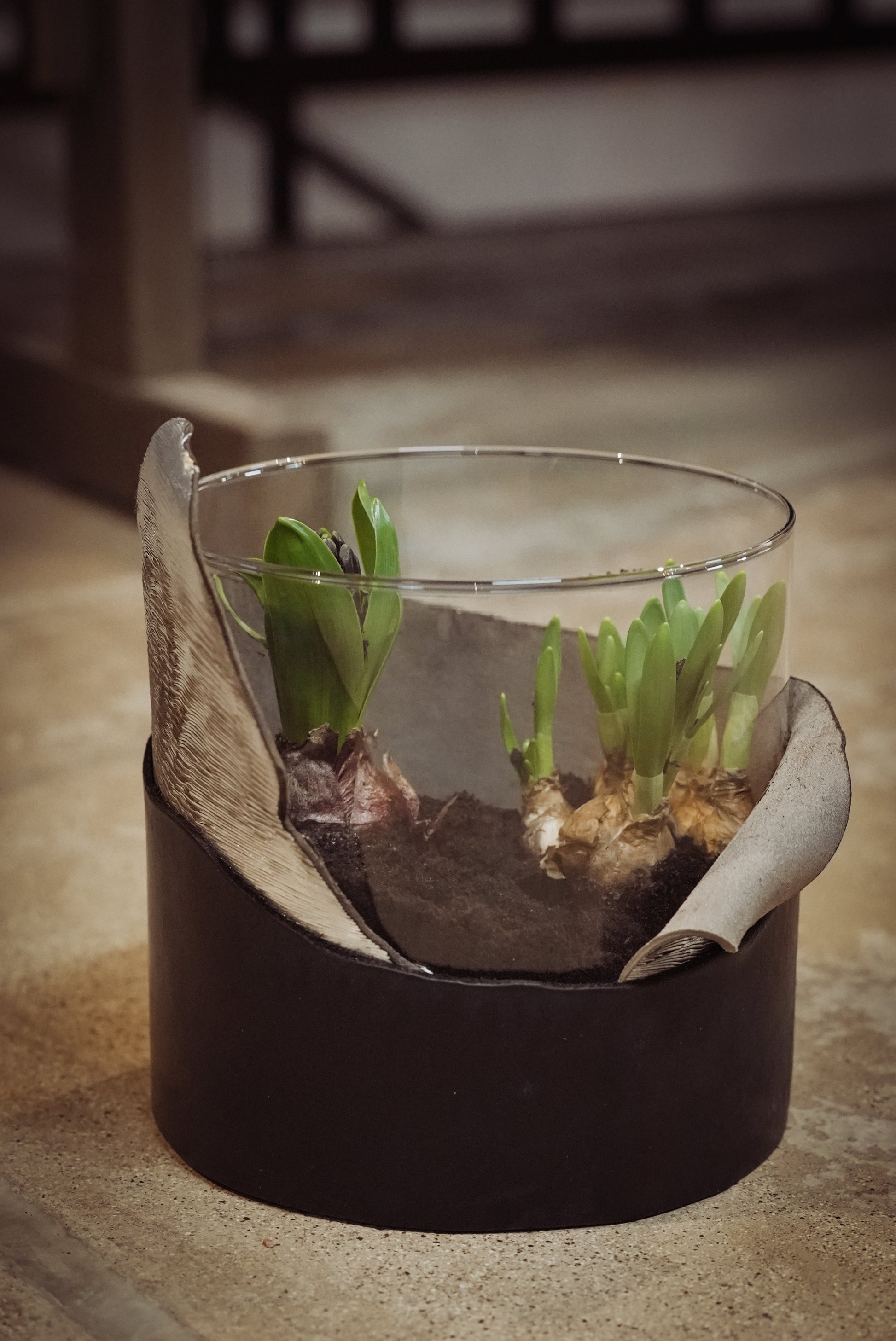GLAS TRIFFT LEDER – Dein Design-Workshop │ 21. MÄRZ 2026 - leder-accessoires.com
