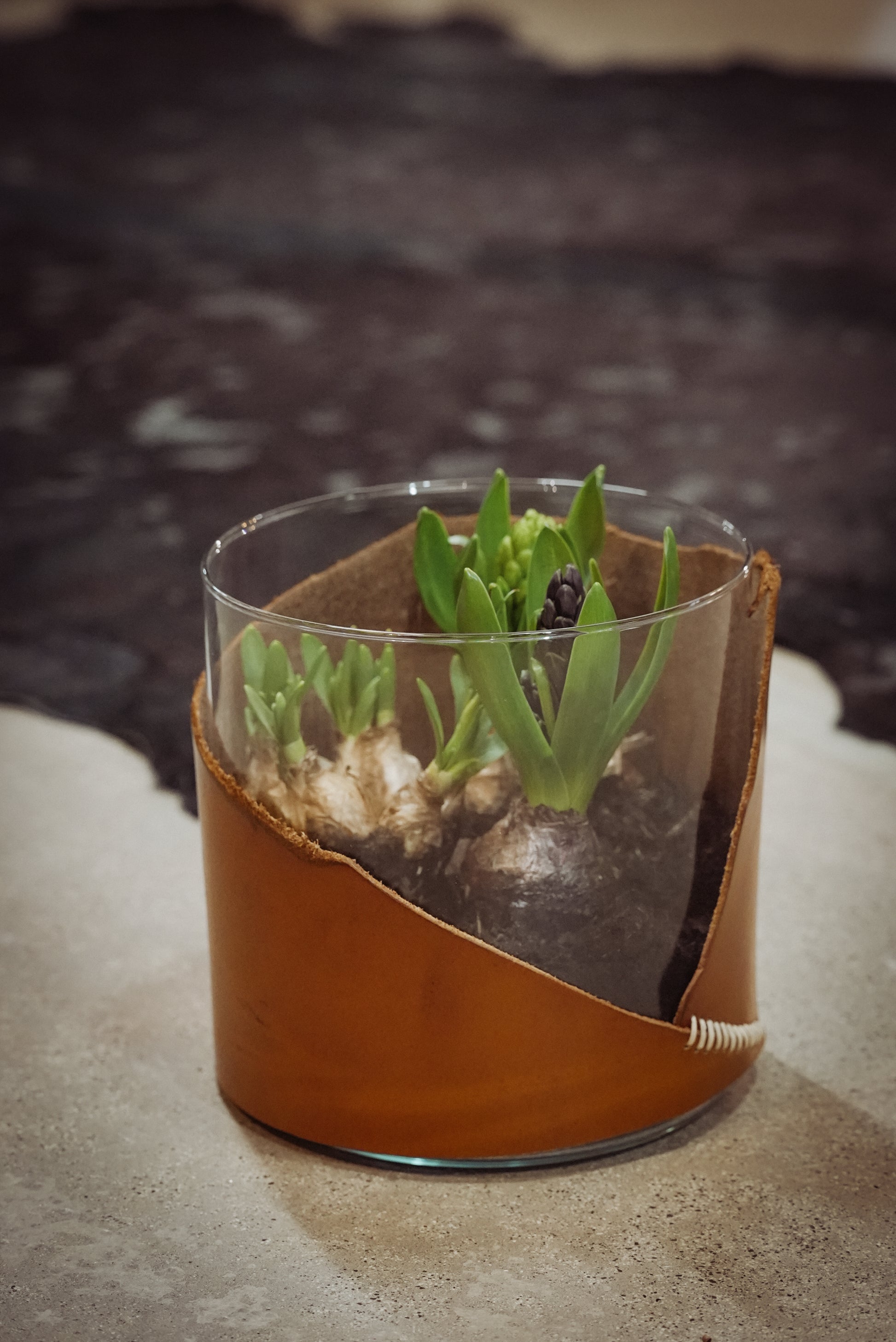 GLAS TRIFFT LEDER – Dein Design-Workshop │ 21. MÄRZ 2026 - leder-accessoires.com